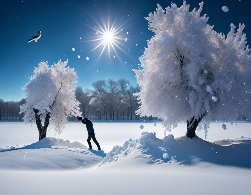 Person in red hat reaching snow-covered tree under bright sun with bird in flight - winter landscape view