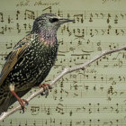 Colorful Bird Artwork with Musical Notes on Beige Background