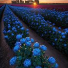 Enchanting forest scene with blue butterflies and glowing flowers