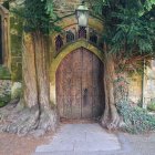 Ornate wooden door in giant tree trunk surrounded by rocks and foliage