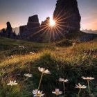 Twilight landscape with white flowers, rocks, sunburst, stars, and crescent moon