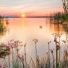 Tranquil autumn forest with misty lake and orange leaves