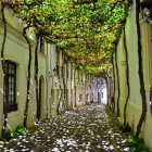 Quaint cobblestone street in old-world village with trees, archways, and sunlit walls