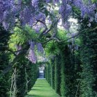 Enchanting pathway with stone arches, green foliage, soft glow, and fluttering butterflies