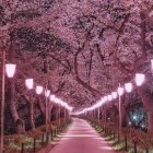 Snowy Path with Glowing Street Lamps and Snow-Covered Trees at Twilight