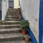 Intricate Blue and Violet Staircase with Green Vines