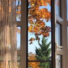 Tranquil autumn scene with golden leaves and warm sunset glow through a window.