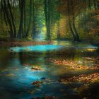 Tranquil forest stream with sunbeams, moss-covered rocks, and autumn leaves