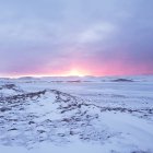 Winter Dusk Landscape: Cozy Houses in Snowy Trees