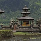 Mystical jungle scene with Asian-style pagodas, glowing plants, and misty ambiance