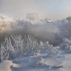 Frost-covered trees and icy river in serene winter scene