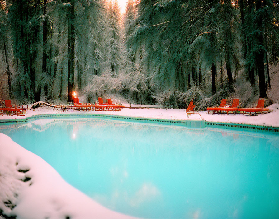 Snow-covered red loungers and pine trees surround outdoor swimming pool in winter scene