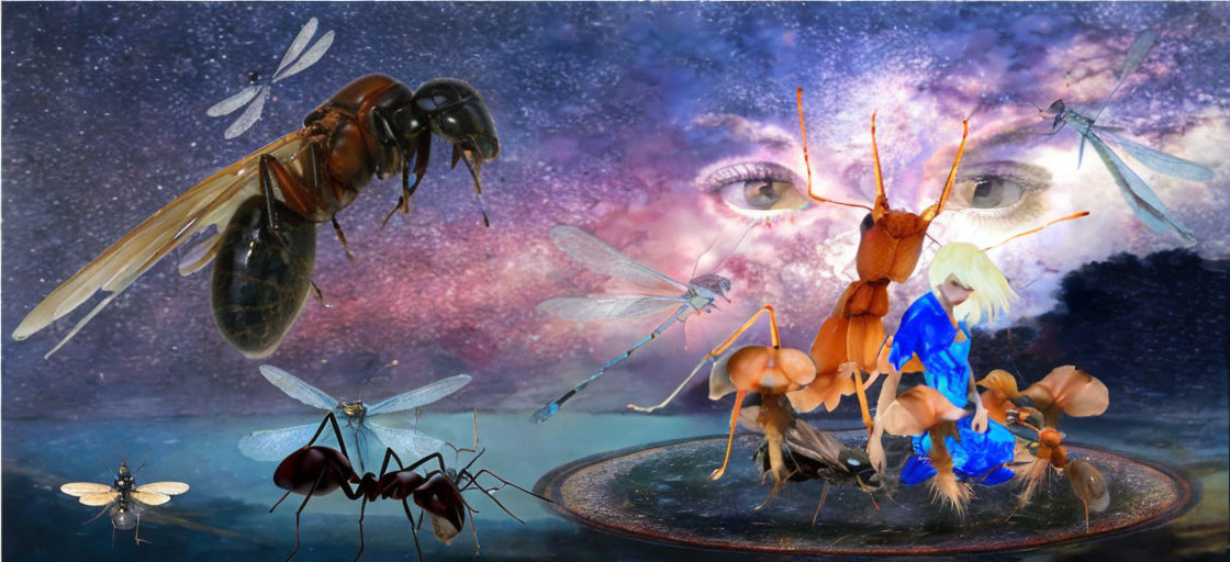 Surreal composite image: Enlarged insects, human-like figure, celestial eyes