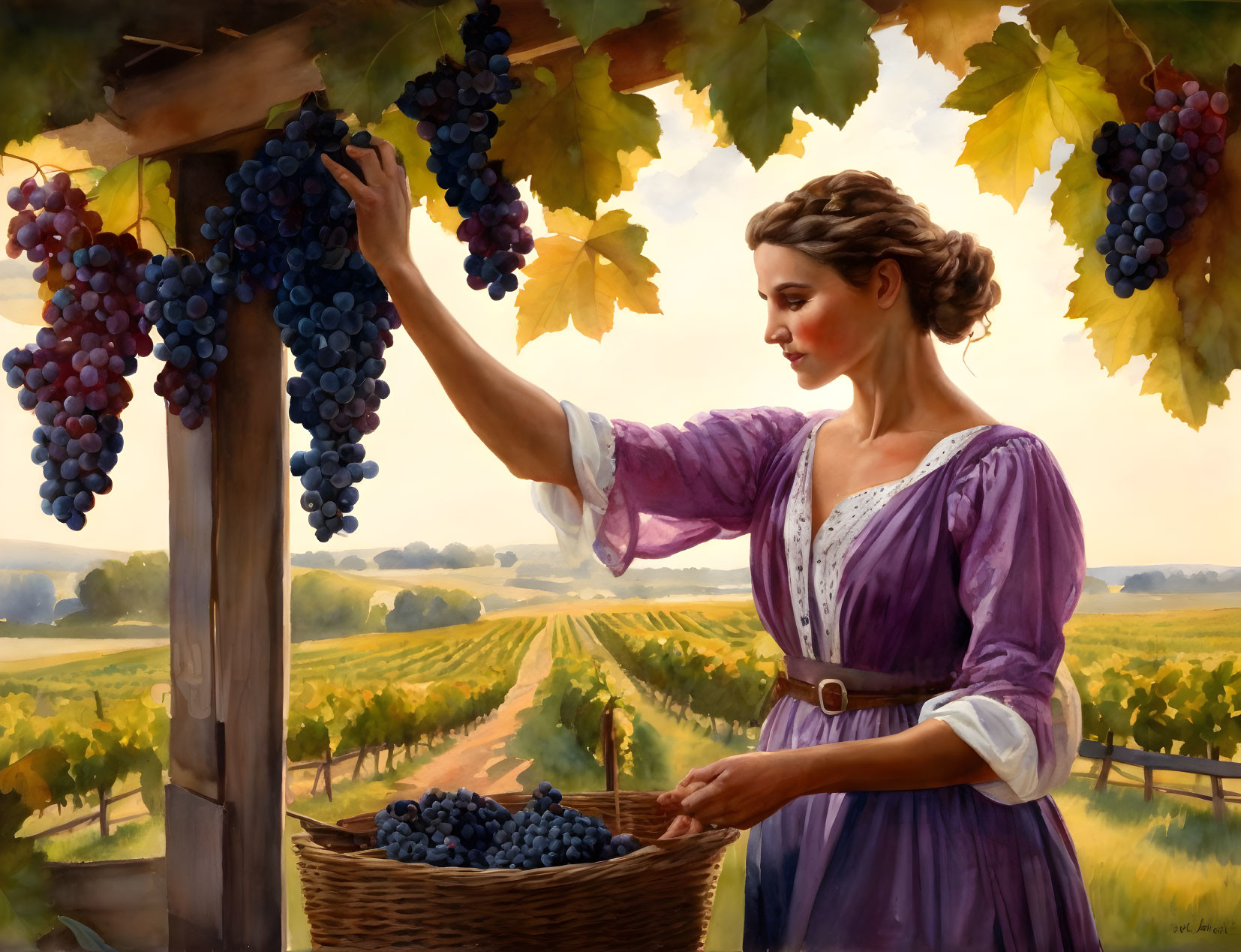 Woman in purple dress picking grapes in vineyard with full basket.