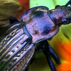 Colorful Digital Art: Mechanical Beetle-Inspired Insect on Foliage