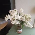 Delicate pink and cream roses in clear glass vase on soft background