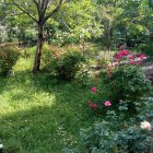 Tranquil forest scene with sunbeams, colorful flora, and reflective water