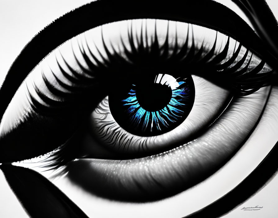 Detailed Close-Up of Human Eye with Blue Iris and Black-and-White Textures