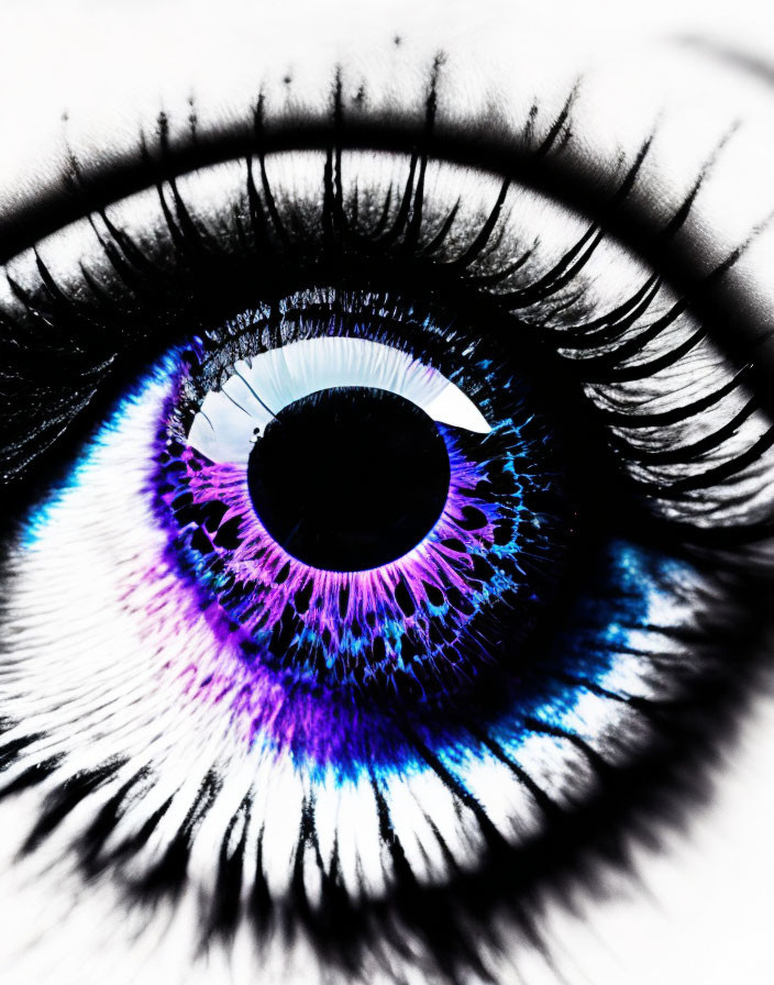 Detailed Close-Up of Human Eye with Blue and Purple Iris Highlights