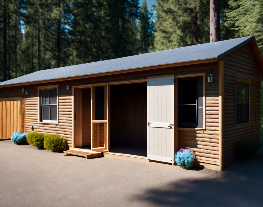 Rustic wooden cabin with white door in sunny forest clearing