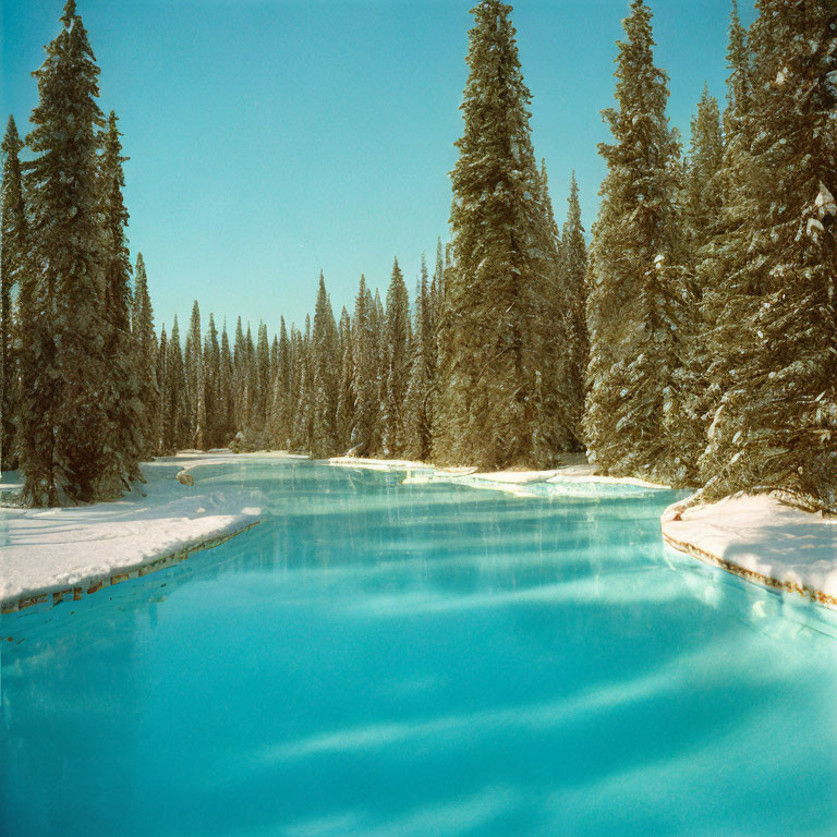 Snow-covered landscape with blue river and evergreen forest