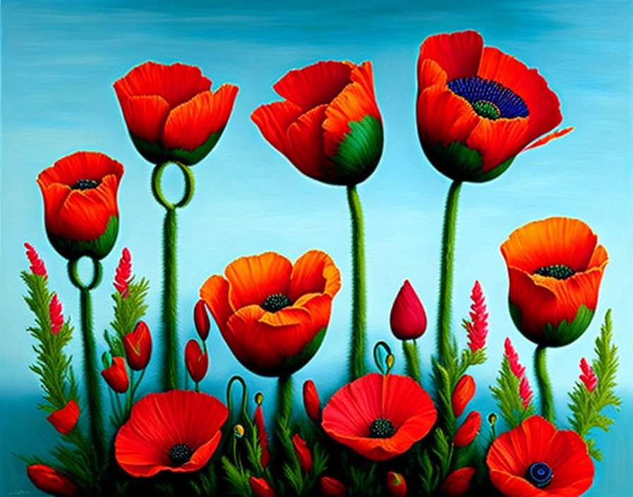 Detailed red poppies with blue-green centers on blue backdrop among green foliage