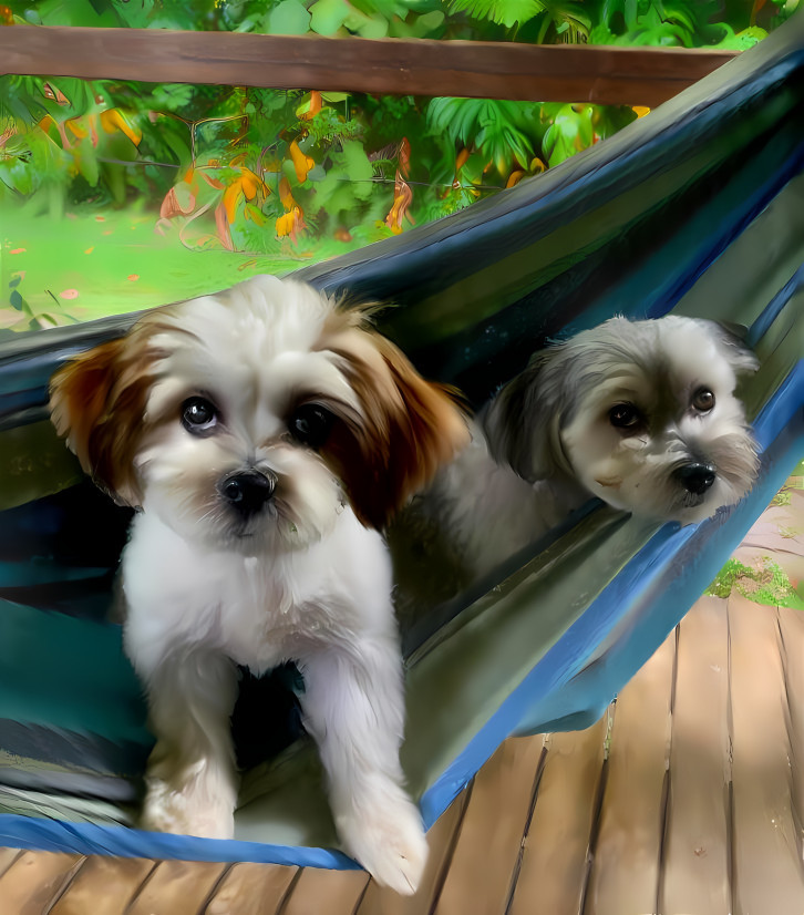 Nahla & Patch Chill'n in a Hammock