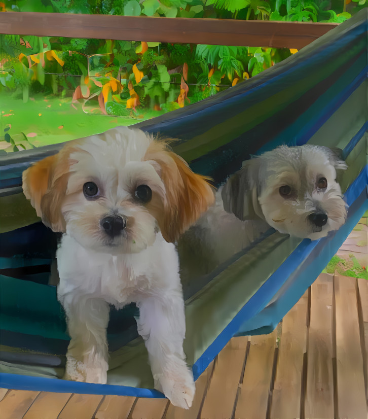 Nahla & Patch Chill'n in a Hammock