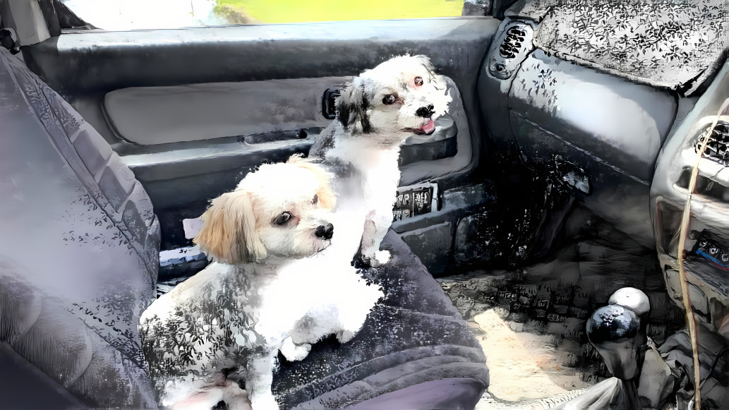 Nahla and Patch going for a Drive