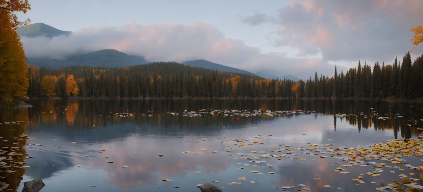 Scenic autumn lake with floating leaves, forest, and mountains