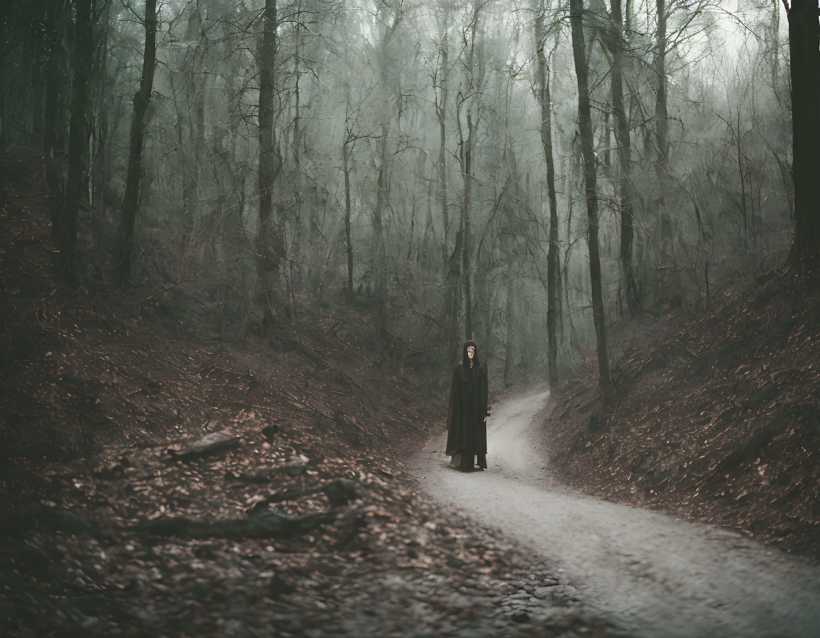 Dark Cloaked Figure Stands on Misty Forest Path