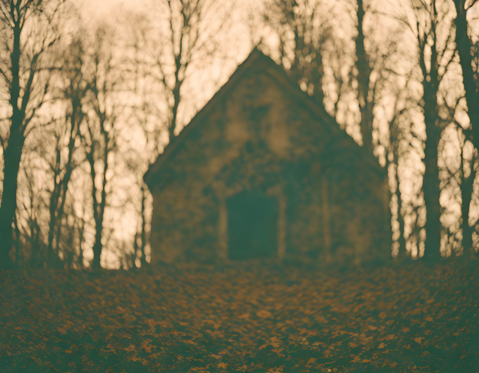 Blurred photo of stone cabin in forest with leaves and bare trees