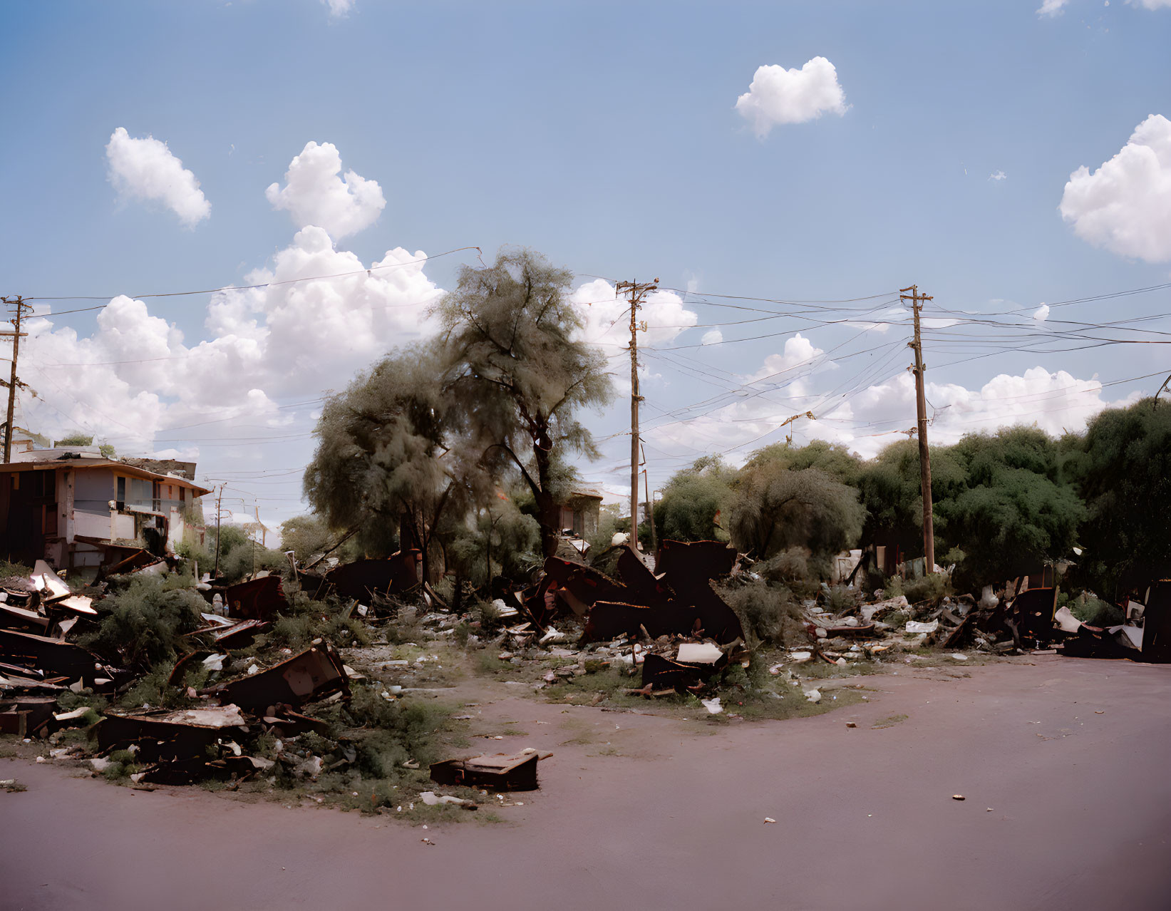 Desolate street scene with debris and uprooted trees under cloudy sky