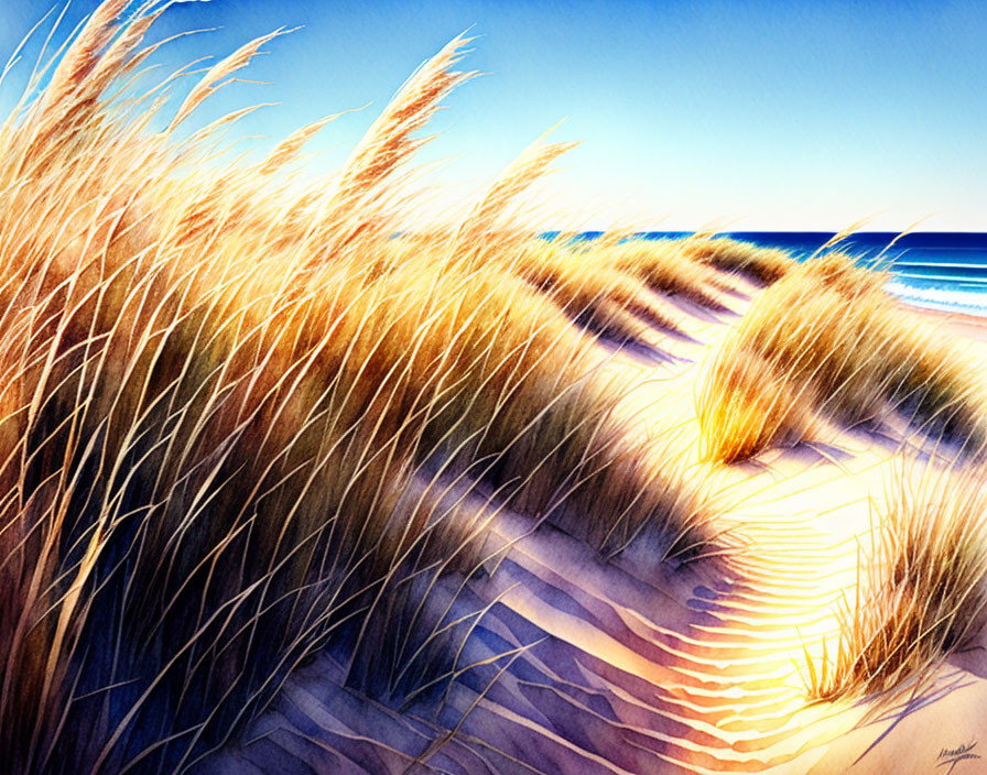 Golden dune grasses on sunlit beach with sand dunes and blue sky