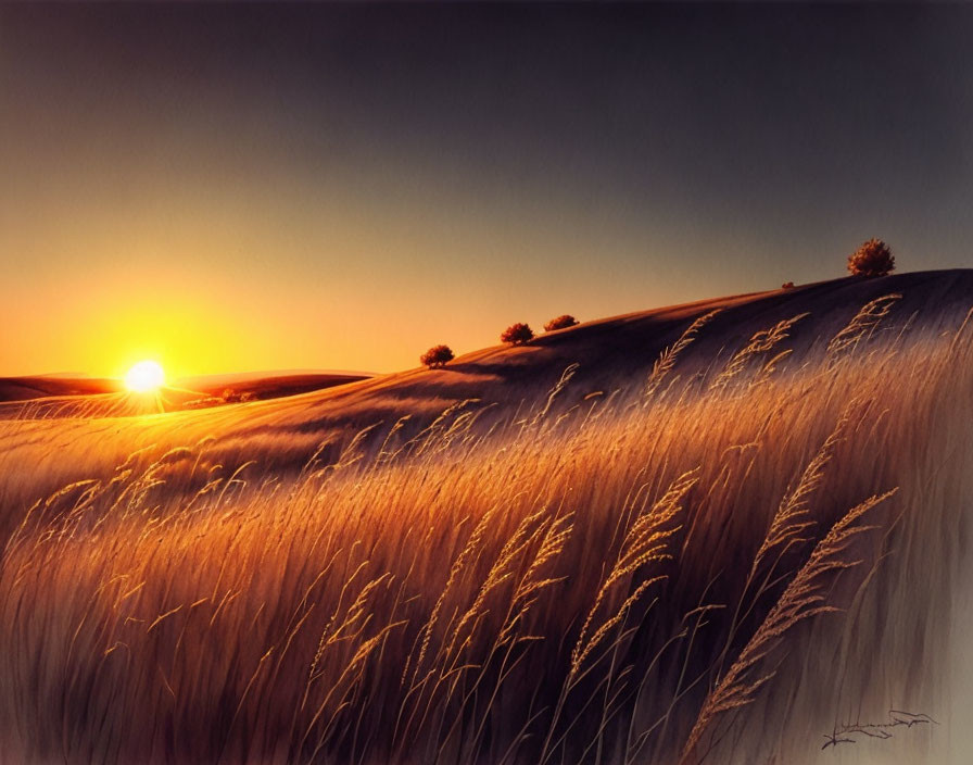 Tranquil landscape: rolling hills, tall grass, sparse trees at sunset