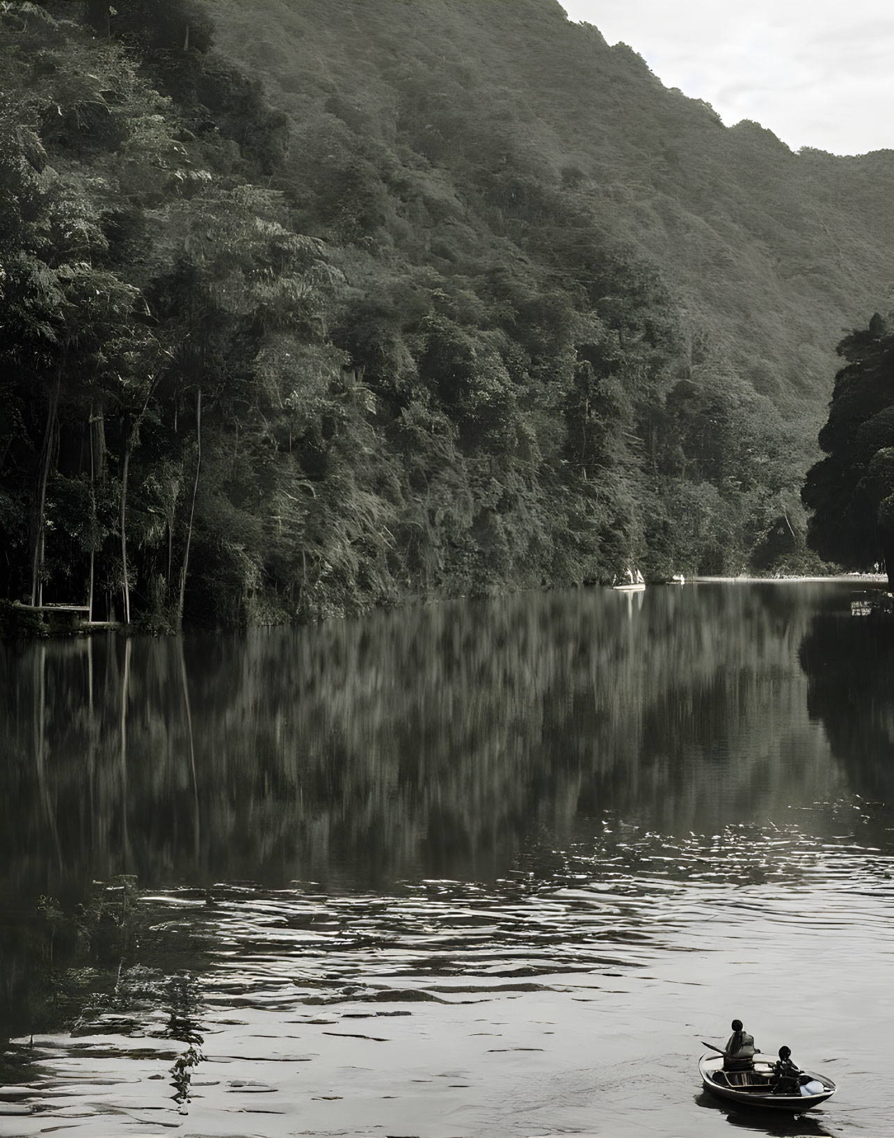 Tranquil river scene with boat and passengers in lush forest