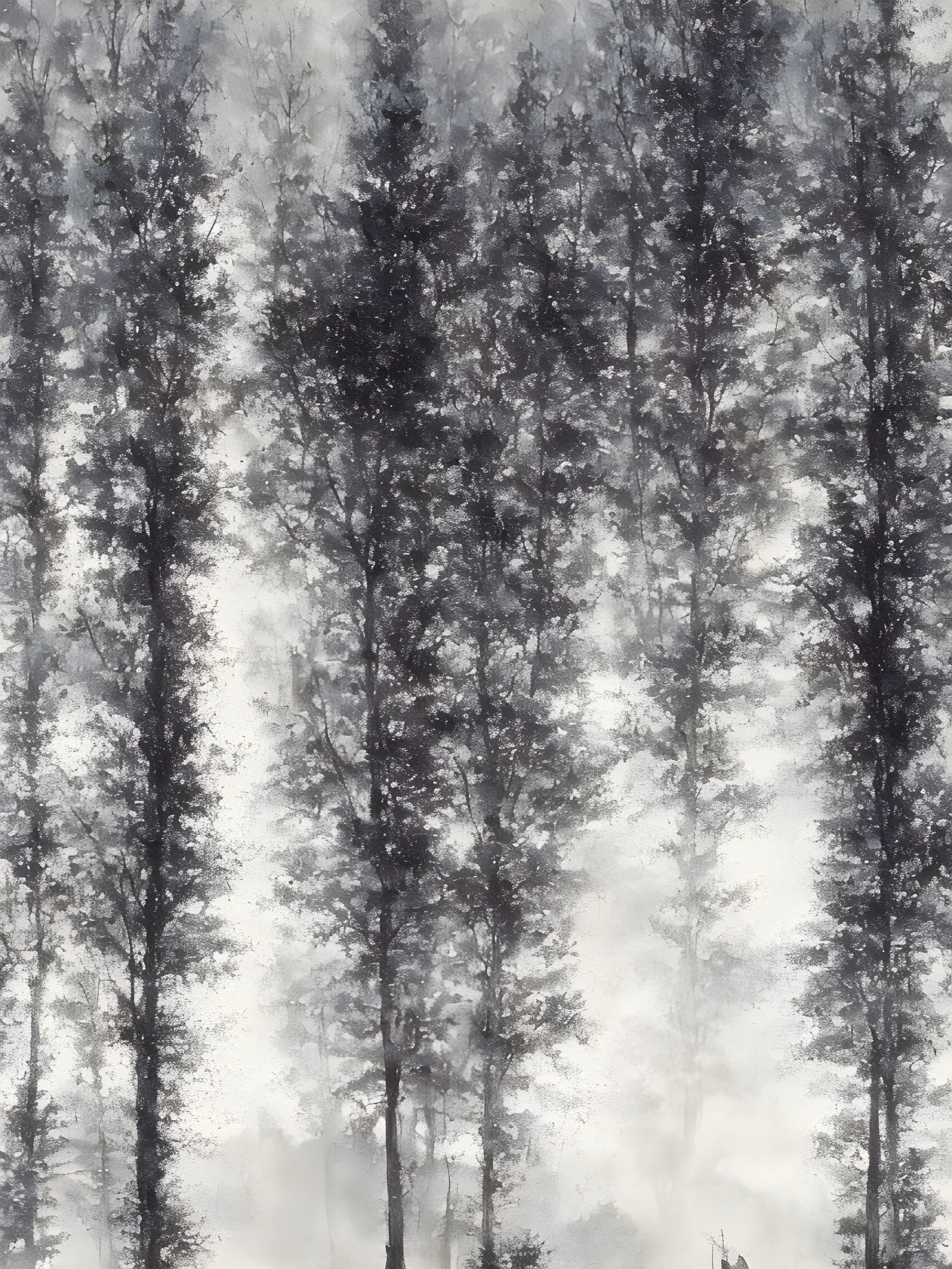 Ethereal mist-covered forest with tall slender trees