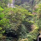 Vibrant autumn foliage frames serene forest waterfall