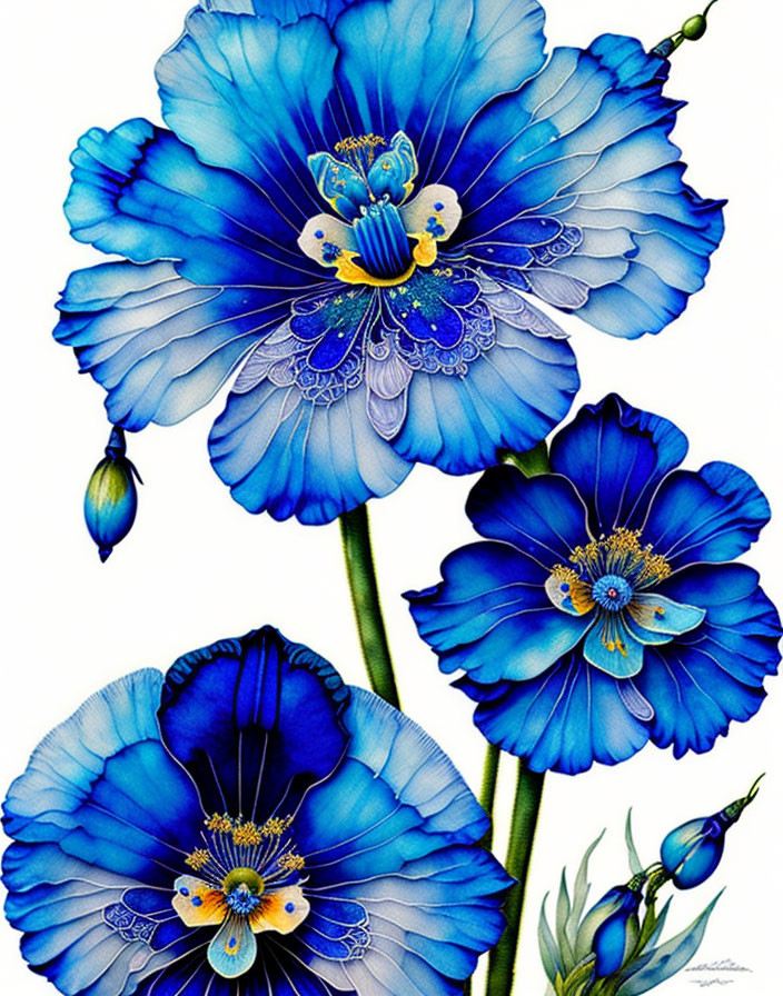 Detailed Blue Poppies Illustration with Yellow Centers