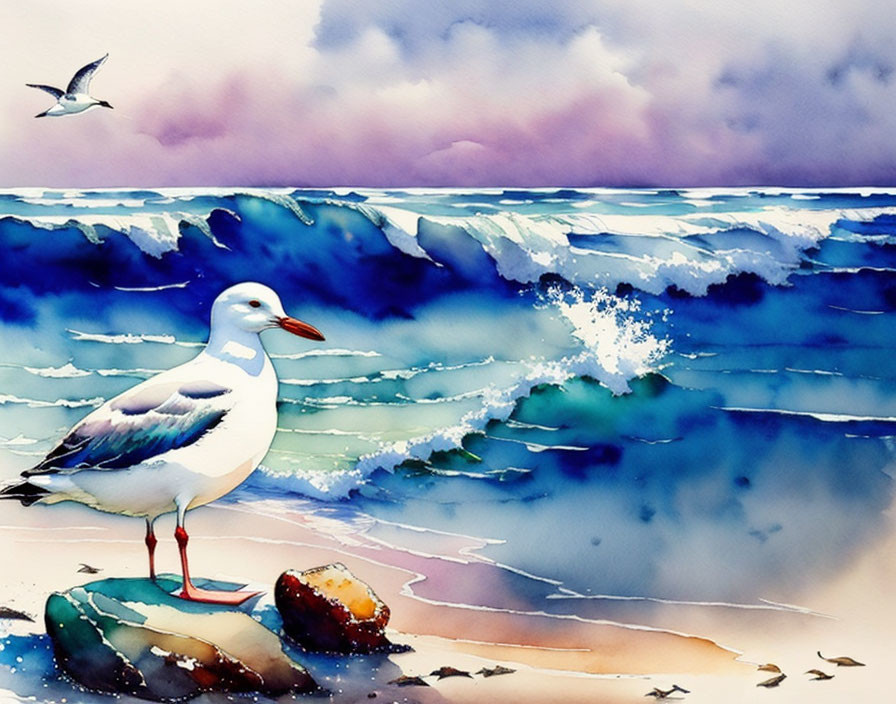 Seagull on rock with waves and flying bird in watercolor