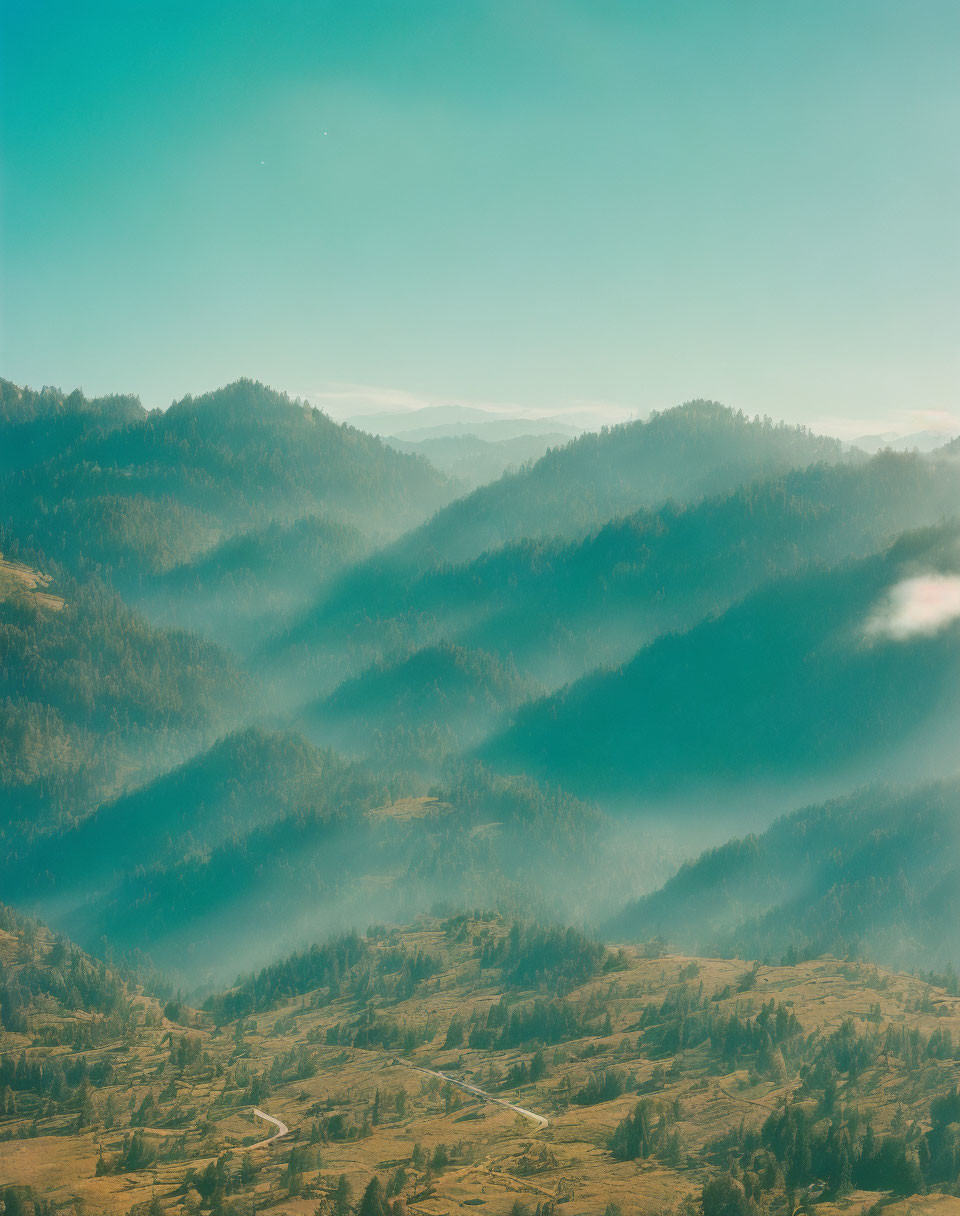 Serene misty mountain landscape with forest-covered hills and winding paths