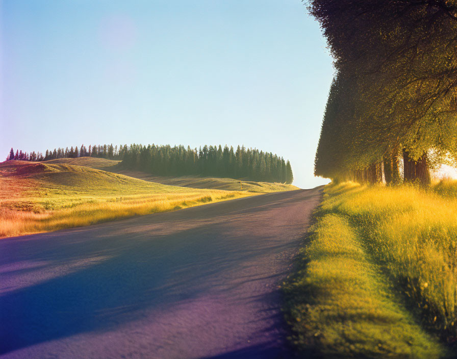 Scenic road through rolling hills at golden hour