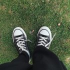 Sneakers on Green Grass with Wildflowers