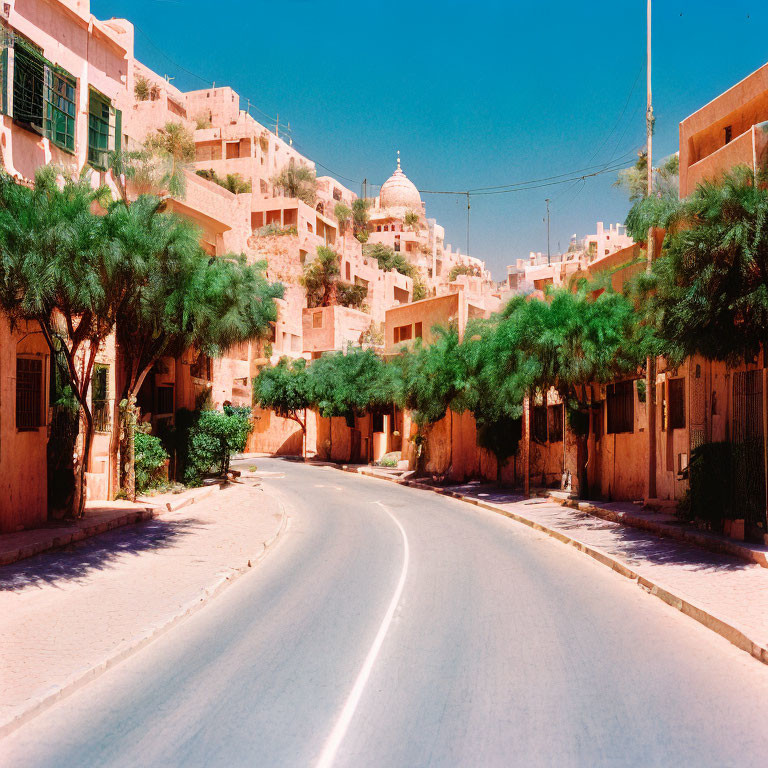 Sunlit street with green trees, tan buildings, and dome under clear blue sky