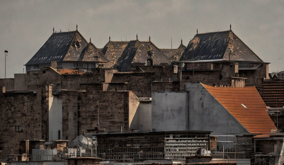 Historic urban skyline with diverse rooftops under overcast sky