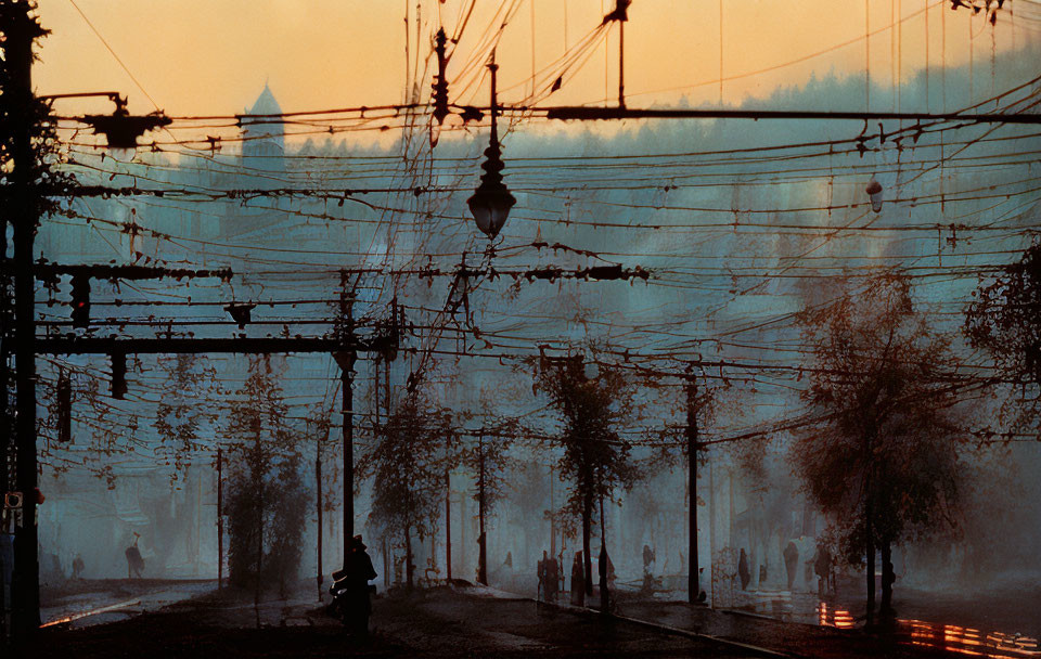 Silhouettes of people against fiery dusk sky with street lamps, trees, and tram wires