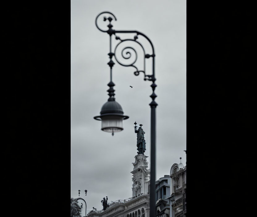 Silhouette of classic street lamp against cloudy sky and distant statues on ornate building