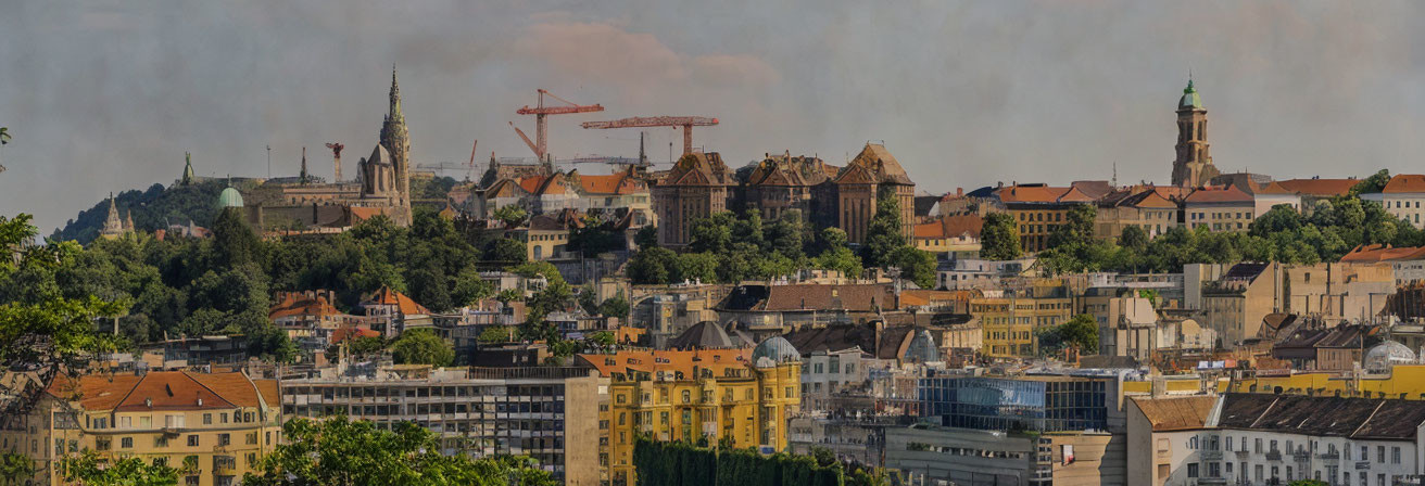 Historical cityscape with buildings, trees, cranes, and cloudy sky