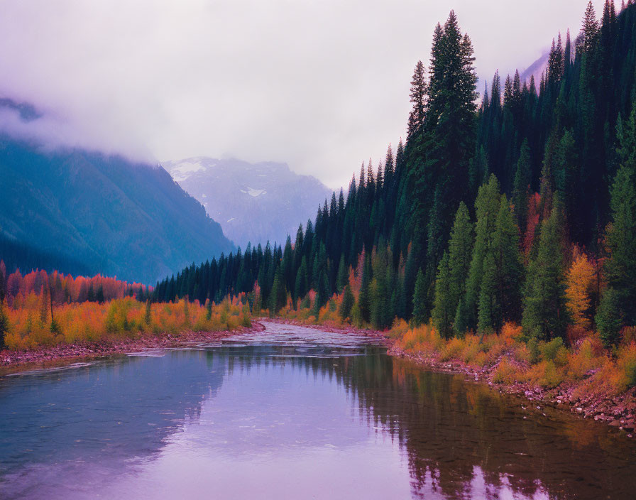 Tranquil river in autumn forest with misty mountains