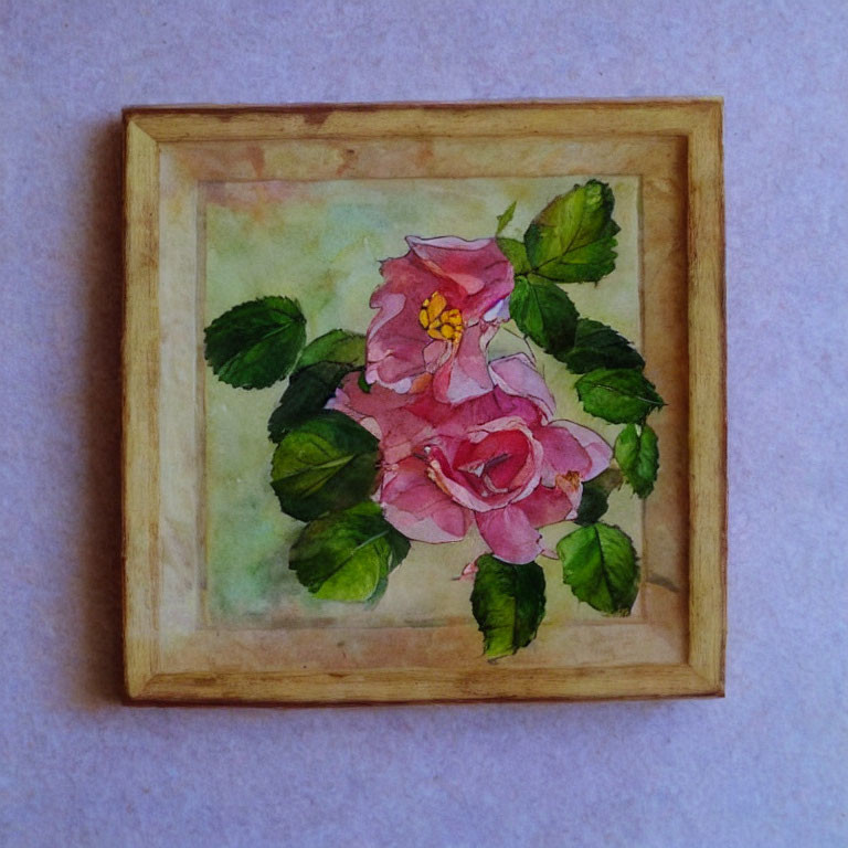 Pink Roses Watercolor Painting on Textured Paper Background